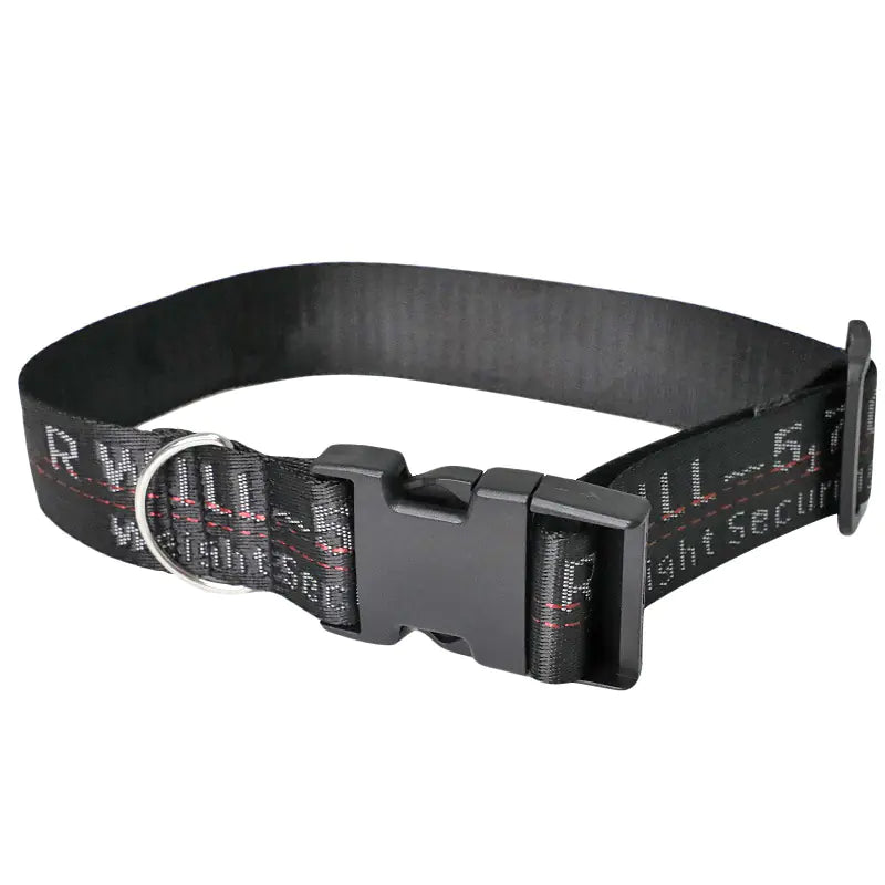 Pet Leash and Dog Collar for All Sizes