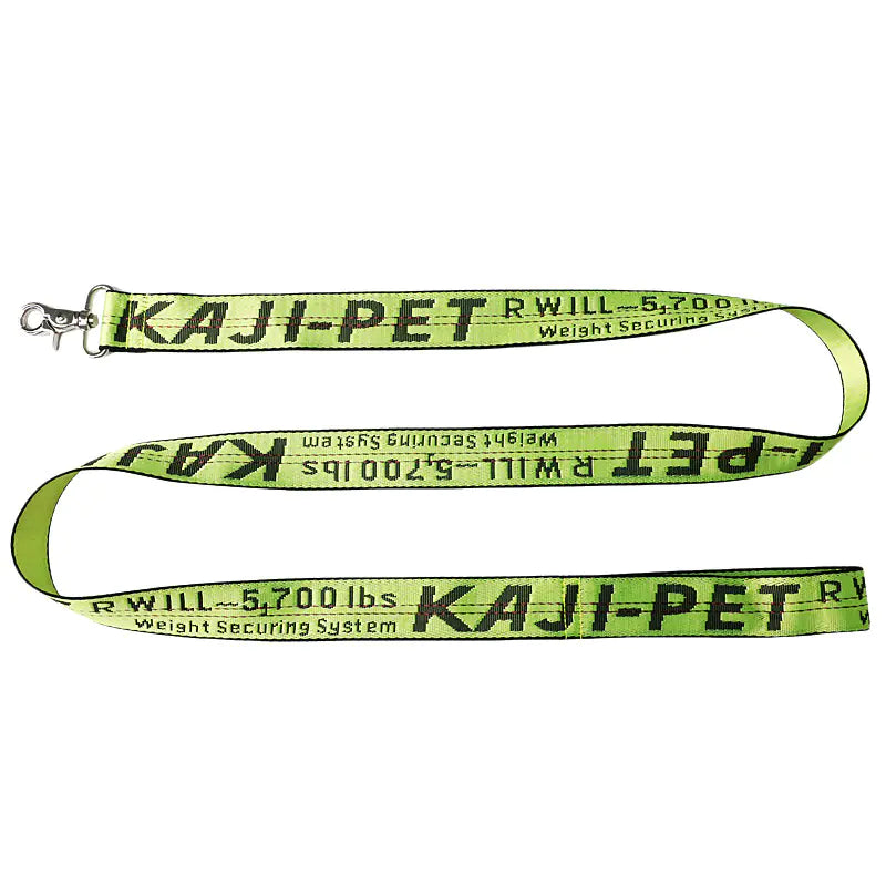 Pet Leash and Dog Collar for All Sizes