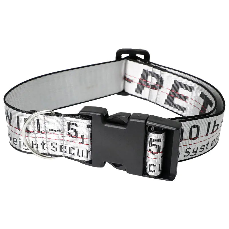 Pet Leash and Dog Collar for All Sizes