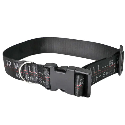 Pet Leash and Dog Collar for All Sizes
