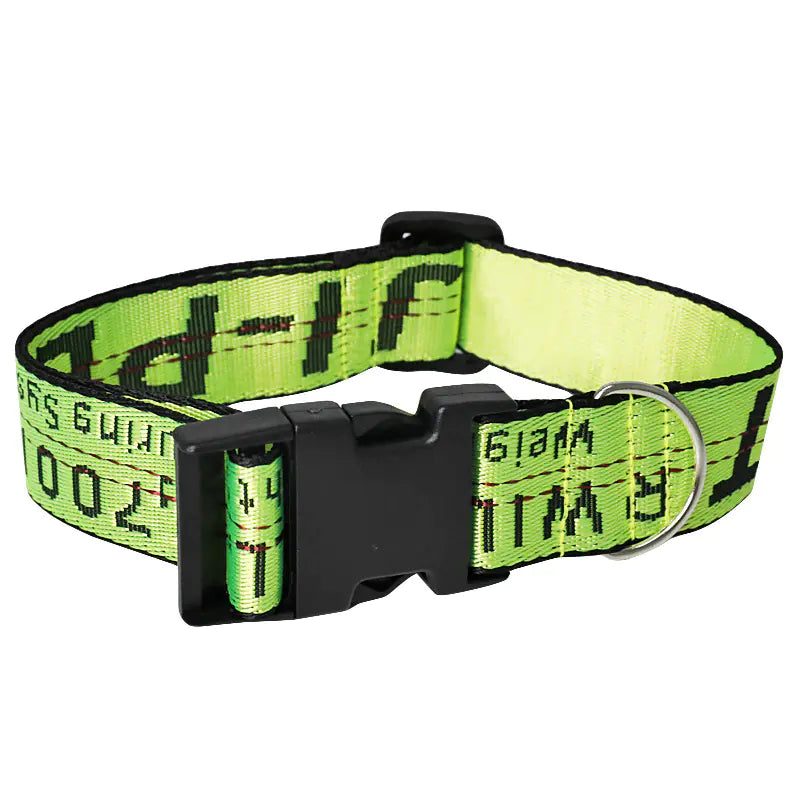 Pet Leash and Dog Collar for All Sizes